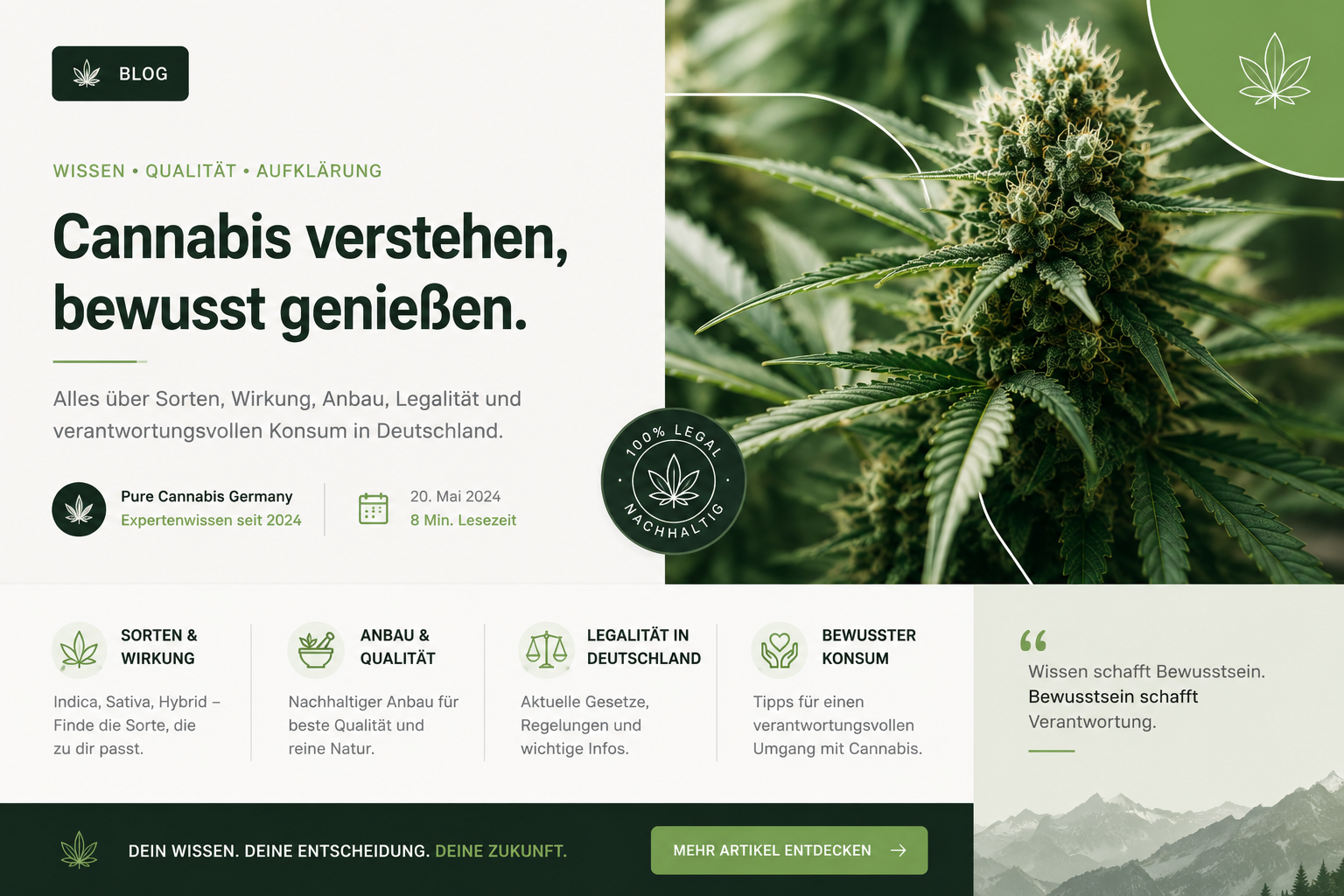 Die Zukunft medizinischen Cannabis in Deutschland